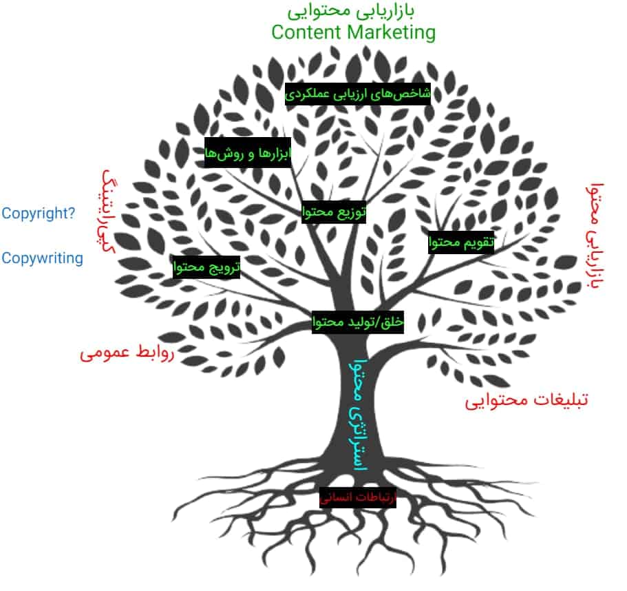 باشگاه محتوا